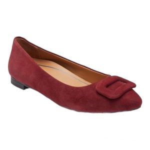 Women's Burgundy Suede Pointed Toe Ballet Flat with Decorative Buckle